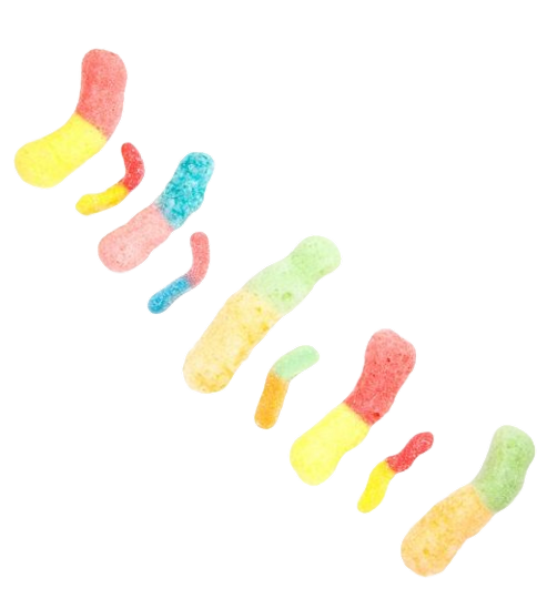 Gudi Worms