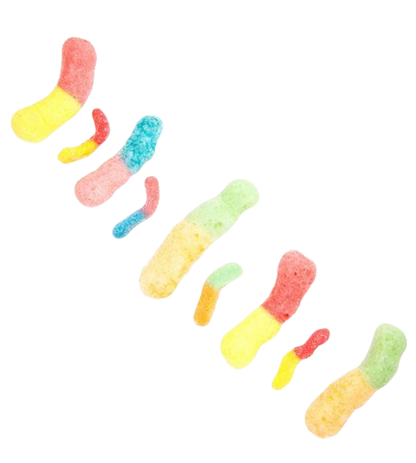 Gudi Worms